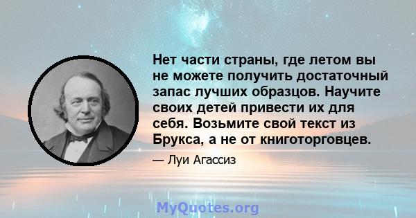 Нет части страны, где летом вы не можете получить достаточный запас лучших образцов. Научите своих детей привести их для себя. Возьмите свой текст из Брукса, а не от книготорговцев.