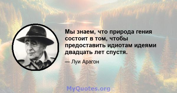 Мы знаем, что природа гения состоит в том, чтобы предоставить идиотам идеями двадцать лет спустя.