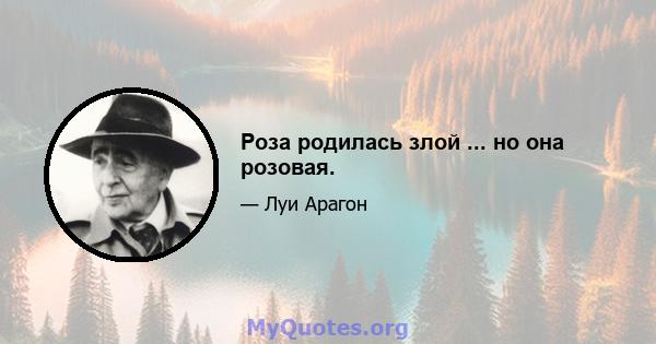 Роза родилась злой ... но она розовая.