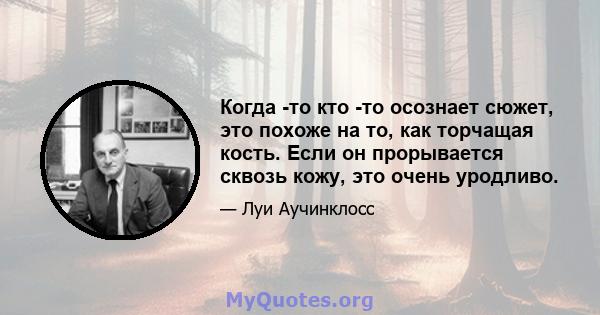 Когда -то кто -то осознает сюжет, это похоже на то, как торчащая кость. Если он прорывается сквозь кожу, это очень уродливо.