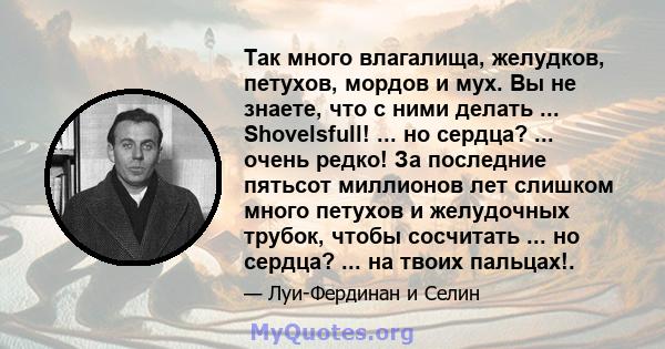 Так много влагалища, желудков, петухов, мордов и мух. Вы не знаете, что с ними делать ... Shovelsfull! ... но сердца? ... очень редко! За последние пятьсот миллионов лет слишком много петухов и желудочных трубок, чтобы