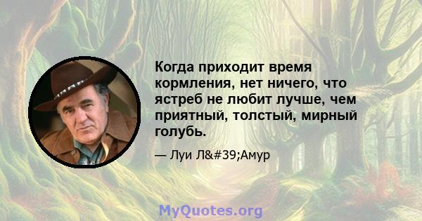 Когда приходит время кормления, нет ничего, что ястреб не любит лучше, чем приятный, толстый, мирный голубь.