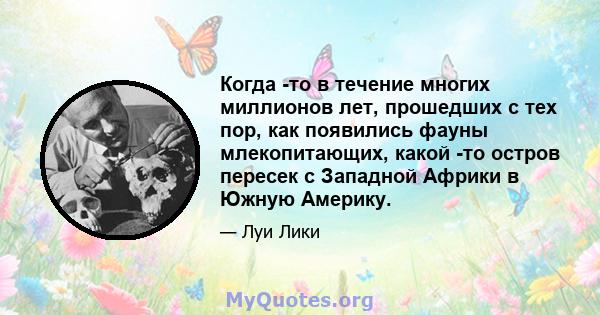 Когда -то в течение многих миллионов лет, прошедших с тех пор, как появились фауны млекопитающих, какой -то остров пересек с Западной Африки в Южную Америку.