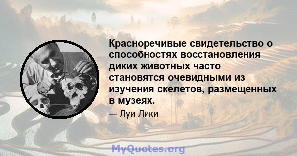 Красноречивые свидетельство о способностях восстановления диких животных часто становятся очевидными из изучения скелетов, размещенных в музеях.