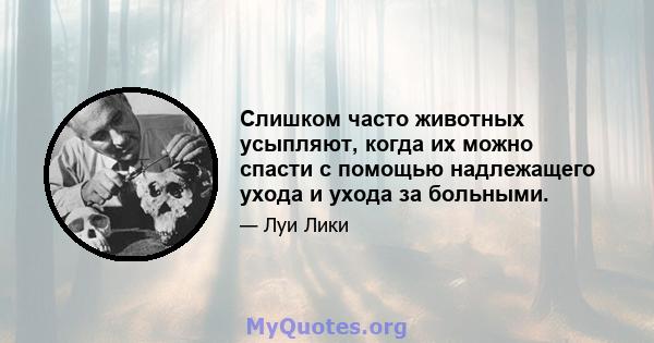 Слишком часто животных усыпляют, когда их можно спасти с помощью надлежащего ухода и ухода за больными.