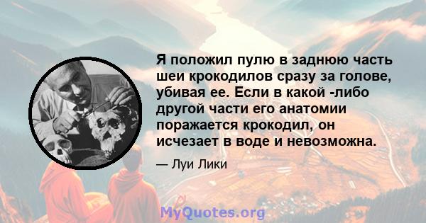 Я положил пулю в заднюю часть шеи крокодилов сразу за голове, убивая ее. Если в какой -либо другой части его анатомии поражается крокодил, он исчезает в воде и невозможна.