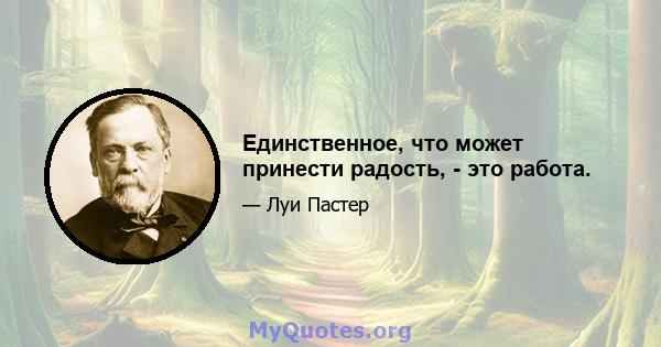 Единственное, что может принести радость, - это работа.