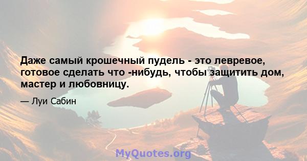 Даже самый крошечный пудель - это левревое, готовое сделать что -нибудь, чтобы защитить дом, мастер и любовницу.