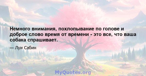 Немного внимания, похлопывание по голове и доброе слово время от времени - это все, что ваша собака спрашивает.