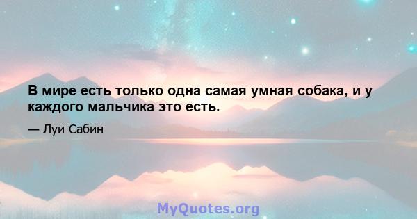 В мире есть только одна самая умная собака, и у каждого мальчика это есть.