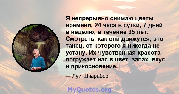 Я непрерывно снимаю цветы времени, 24 часа в сутки, 7 дней в неделю, в течение 35 лет. Смотреть, как они движутся, это танец, от которого я никогда не устану. Их чувственная красота погружает нас в цвет, запах, вкус и