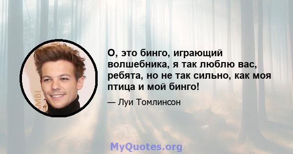 О, это бинго, играющий волшебника, я так люблю вас, ребята, но не так сильно, как моя птица и мой бинго!