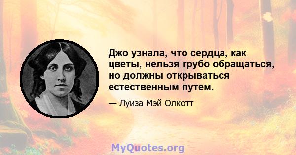 Джо узнала, что сердца, как цветы, нельзя грубо обращаться, но должны открываться естественным путем.