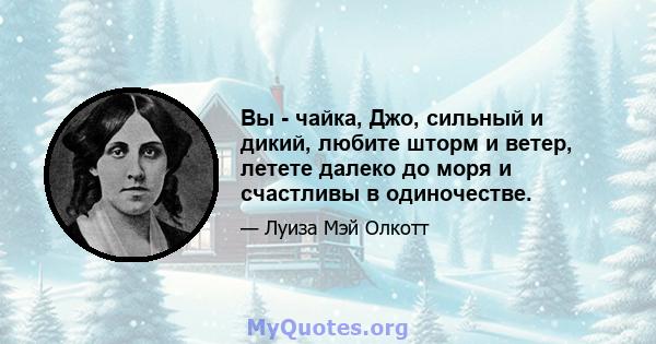 Вы - чайка, Джо, сильный и дикий, любите шторм и ветер, летете далеко до моря и счастливы в одиночестве.