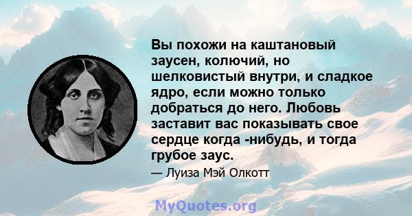 Вы похожи на каштановый заусен, колючий, но шелковистый внутри, и сладкое ядро, если можно только добраться до него. Любовь заставит вас показывать свое сердце когда -нибудь, и тогда грубое заус.