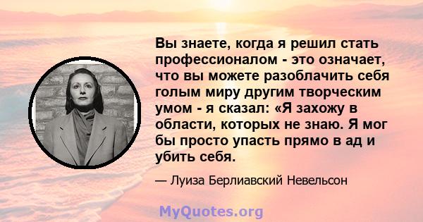 Вы знаете, когда я решил стать профессионалом - это означает, что вы можете разоблачить себя голым миру другим творческим умом - я сказал: «Я захожу в области, которых не знаю. Я мог бы просто упасть прямо в ад и убить