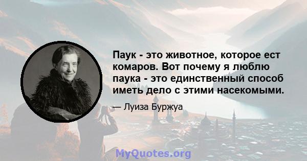 Паук - это животное, которое ест комаров. Вот почему я люблю паука - это единственный способ иметь дело с этими насекомыми.