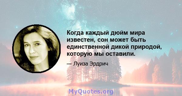 Когда каждый дюйм мира известен, сон может быть единственной дикой природой, которую мы оставили.