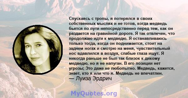 Спускаясь с тропы, я потерялся в своих собственных мыслях и не готов, когда медведь бьется по пути непосредственно перед тем, как он раздается на гравийной дороге. Я так отвлечен, что продолжаю идти к медведю. Я