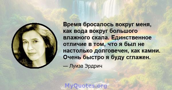 Время бросалось вокруг меня, как вода вокруг большого влажного скала. Единственное отличие в том, что я был не настолько долговечен, как камни. Очень быстро я буду сглажен.