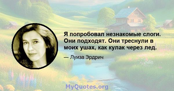 Я попробовал незнакомые слоги. Они подходят. Они треснули в моих ушах, как кулак через лед.