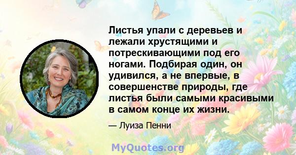 Листья упали с деревьев и лежали хрустящими и потрескивающими под его ногами. Подбирая один, он удивился, а не впервые, в совершенстве природы, где листья были самыми красивыми в самом конце их жизни.