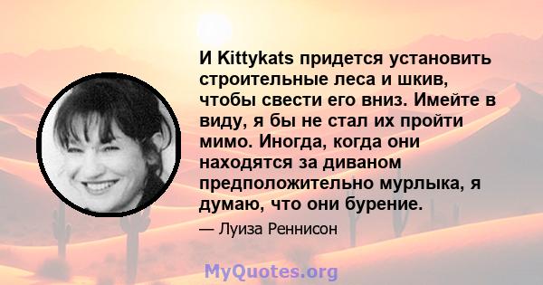 И Kittykats придется установить строительные леса и шкив, чтобы свести его вниз. Имейте в виду, я бы не стал их пройти мимо. Иногда, когда они находятся за диваном предположительно мурлыка, я думаю, что они бурение.