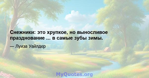 Снежники: это хрупкое, но выносливое празднование ... в самые зубы зимы.