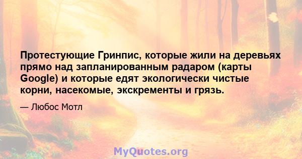 Протестующие Гринпис, которые жили на деревьях прямо над запланированным радаром (карты Google) и которые едят экологически чистые корни, насекомые, экскременты и грязь.