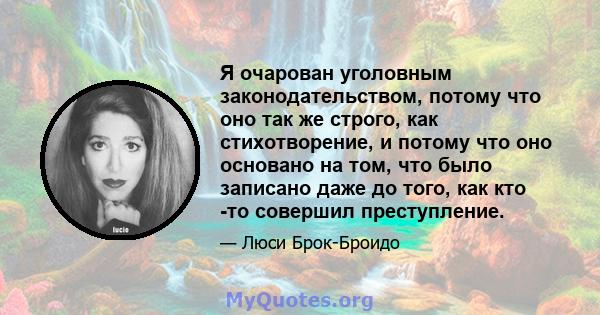 Я очарован уголовным законодательством, потому что оно так же строго, как стихотворение, и потому что оно основано на том, что было записано даже до того, как кто -то совершил преступление.