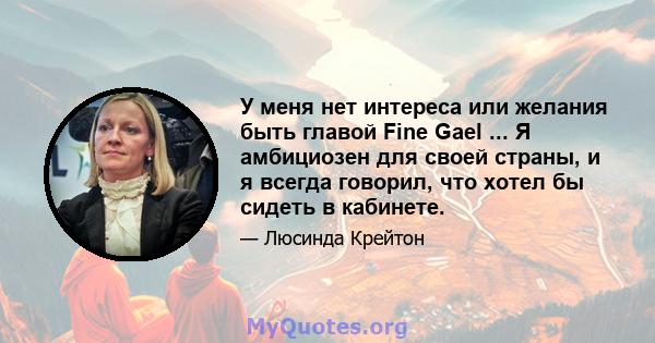 У меня нет интереса или желания быть главой Fine Gael ... Я амбициозен для своей страны, и я всегда говорил, что хотел бы сидеть в кабинете.