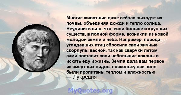 Многие животные даже сейчас выходят из почвы, объединяя дожди и тепло солнца. Неудивительно, что, если больше и крупных существ, в полной форме, возникли из новой молодой земли и неба. Например, порода углядевших птиц