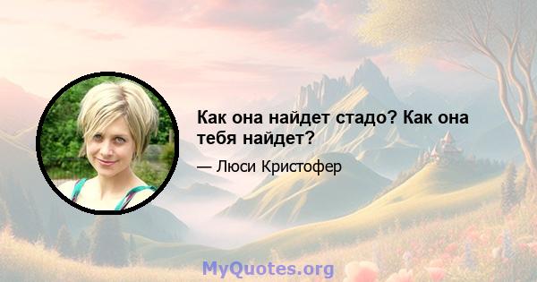 Как она найдет стадо? Как она тебя найдет?