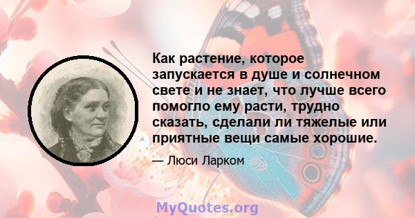 Как растение, которое запускается в душе и солнечном свете и не знает, что лучше всего помогло ему расти, трудно сказать, сделали ли тяжелые или приятные вещи самые хорошие.