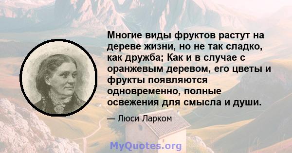 Многие виды фруктов растут на дереве жизни, но не так сладко, как дружба; Как и в случае с оранжевым деревом, его цветы и фрукты появляются одновременно, полные освежения для смысла и души.