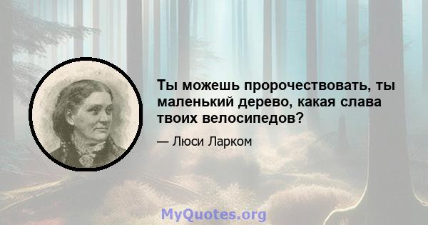 Ты можешь пророчествовать, ты маленький дерево, какая слава твоих велосипедов?