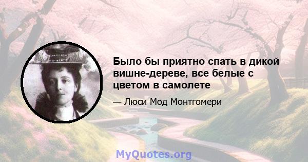 Было бы приятно спать в дикой вишне-дереве, все белые с цветом в самолете