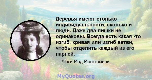 Деревья имеют столько индивидуальности, сколько и люди. Даже два лишки не одинаковы. Всегда есть какая -то изгиб, кривая или изгиб ветви, чтобы отделить каждый из его парней.