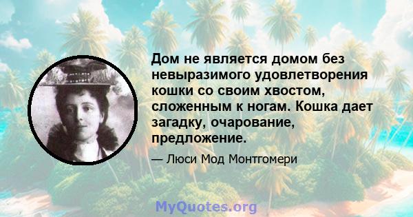 Дом не является домом без невыразимого удовлетворения кошки со своим хвостом, сложенным к ногам. Кошка дает загадку, очарование, предложение.