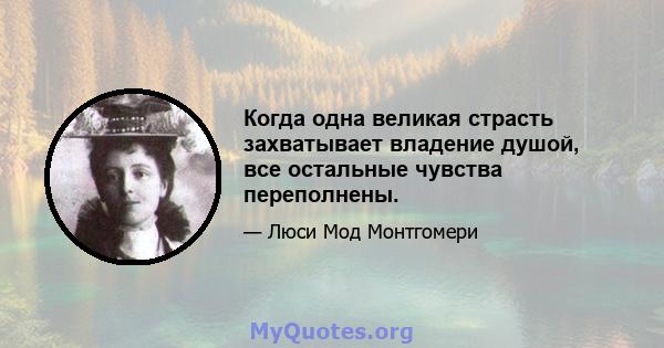 Когда одна великая страсть захватывает владение душой, все остальные чувства переполнены.