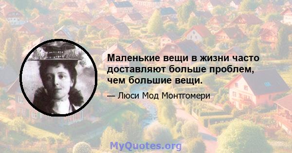 Маленькие вещи в жизни часто доставляют больше проблем, чем большие вещи.