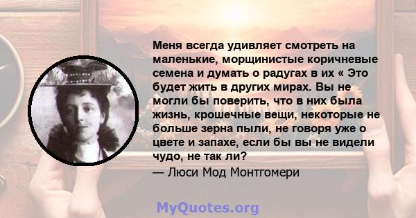 Меня всегда удивляет смотреть на маленькие, морщинистые коричневые семена и думать о радугах в их « Это будет жить в других мирах. Вы не могли бы поверить, что в них была жизнь, крошечные вещи, некоторые не больше зерна 