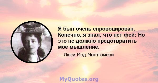 Я был очень спровоцирован. Конечно, я знал, что нет фей; Но это не должно предотвратить мое мышление.