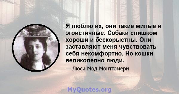 Я люблю их, они такие милые и эгоистичные. Собаки слишком хороши и бескорыстны. Они заставляют меня чувствовать себя некомфортно. Но кошки великолепно люди.