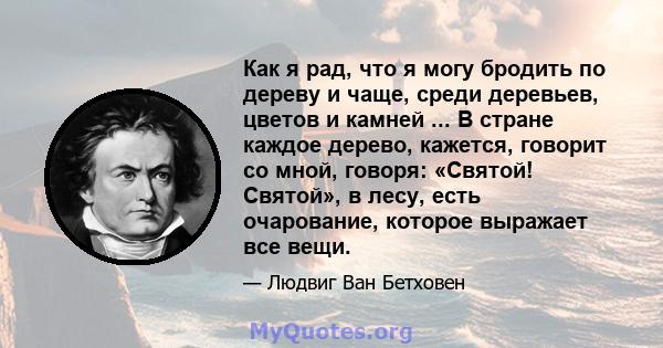 Как я рад, что я могу бродить по дереву и чаще, среди деревьев, цветов и камней ... В стране каждое дерево, кажется, говорит со мной, говоря: «Святой! Святой», в лесу, есть очарование, которое выражает все вещи.