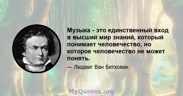 Музыка - это единственный вход в высший мир знаний, который понимает человечество, но которое человечество не может понять.