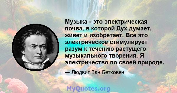 Музыка - это электрическая почва, в которой Дух думает, живет и изобретает. Все это электрическое стимулирует разум к течению растущего музыкального творения. Я электричество по своей природе.