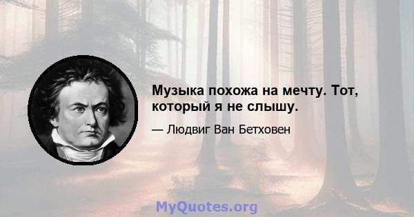 Музыка похожа на мечту. Тот, который я не слышу.