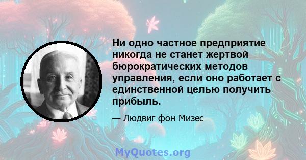 Ни одно частное предприятие никогда не станет жертвой бюрократических методов управления, если оно работает с единственной целью получить прибыль.