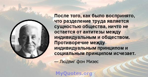 После того, как было воспринято, что разделение труда является сущностью общества, ничто не остается от антитезы между индивидуальным и обществом. Противоречие между индивидуальным принципом и социальным принципом